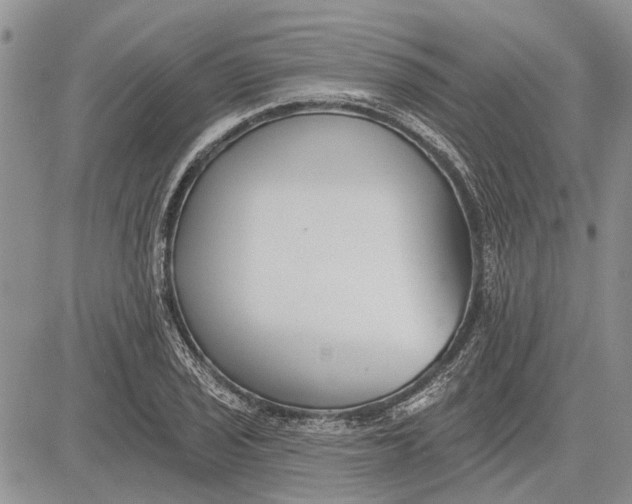 X0000081581029200702051234