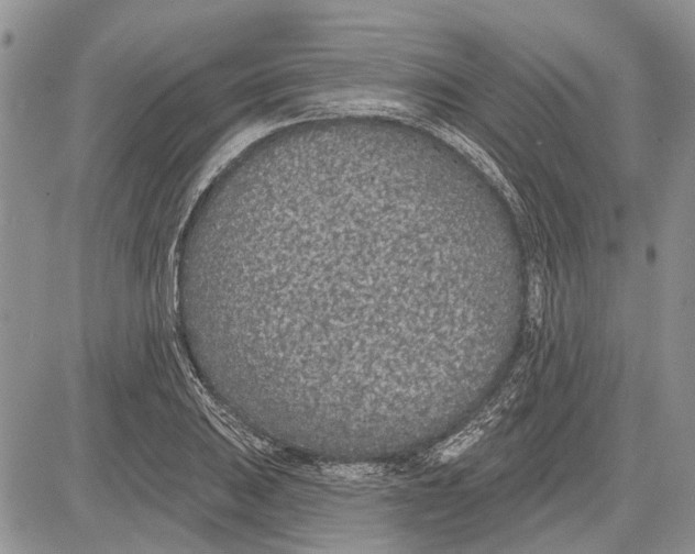 X0000081581031200702051234