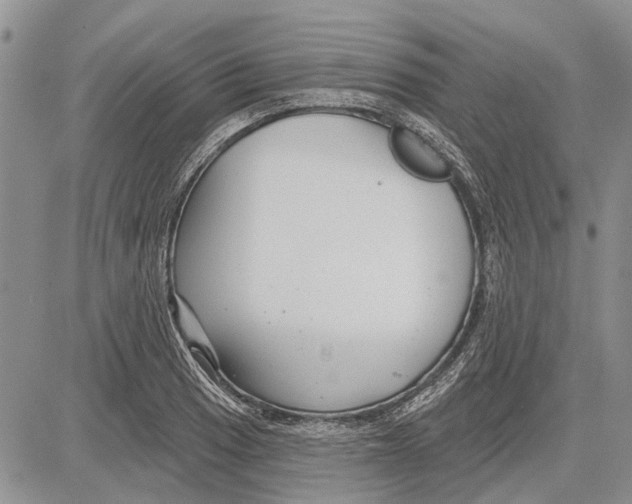 X0000081581033200702051234