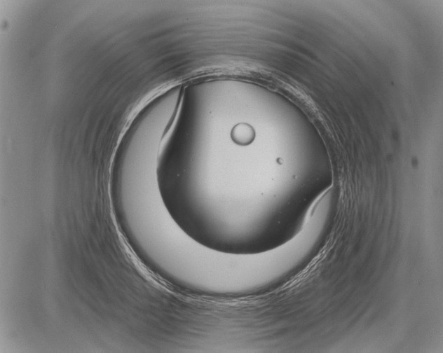 X0000081581034200702051234