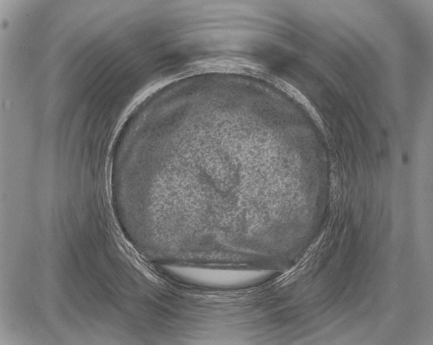 X0000081581035200702051234