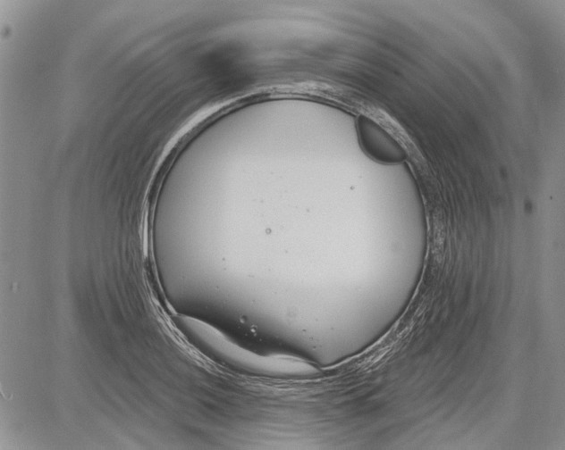 X0000081581036200702051234