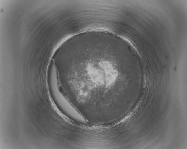 X0000081581038200702051234