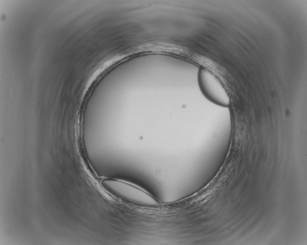 X0000081581040200702051234