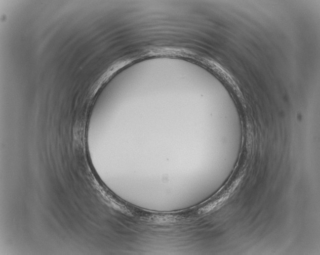 X0000081581041200702051234