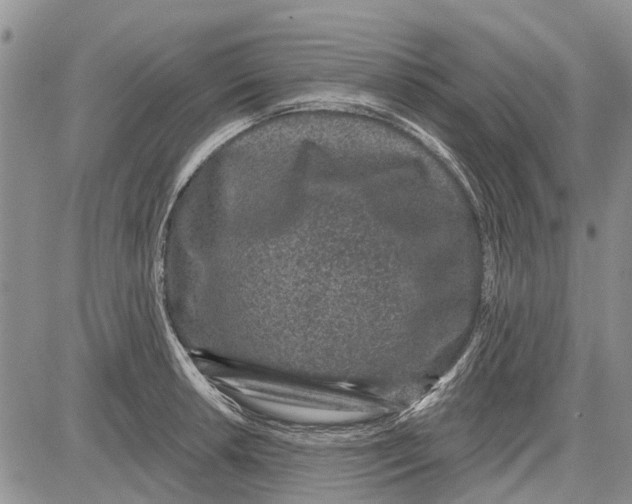 X0000081581042200702051234