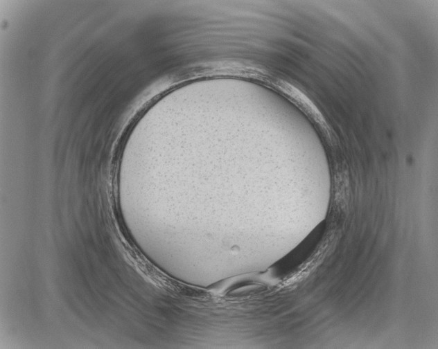 X0000081581043200702051234