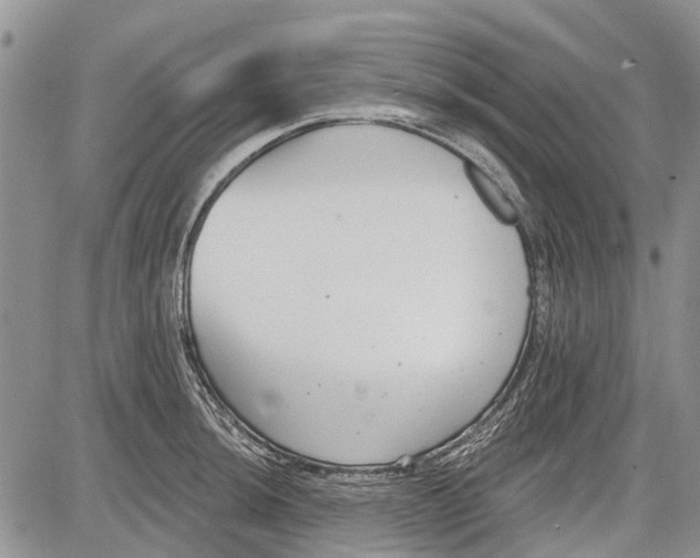 X0000081581044200702051234