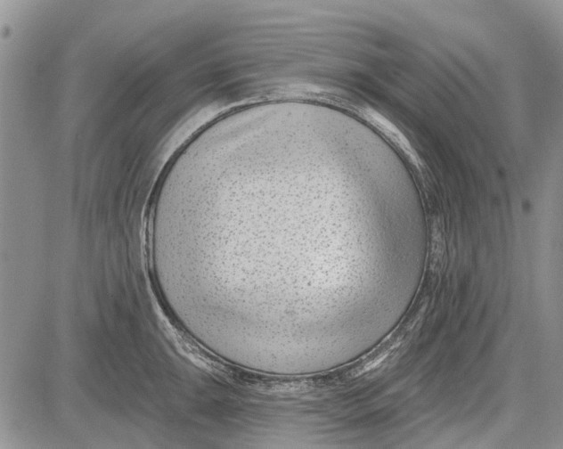 X0000081581047200702051234