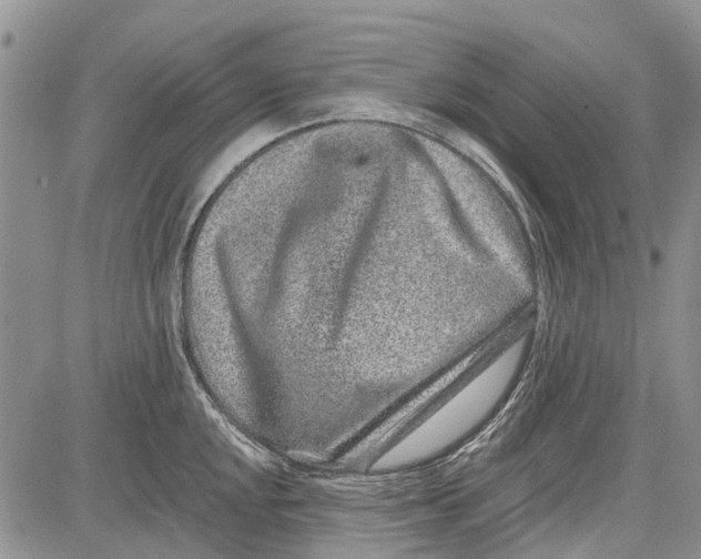 X0000081581048200702051234