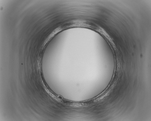 X0000081581049200702051234