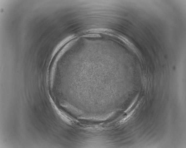 X0000081581050200702051234