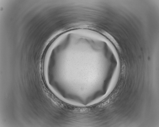 X0000081581051200702051234