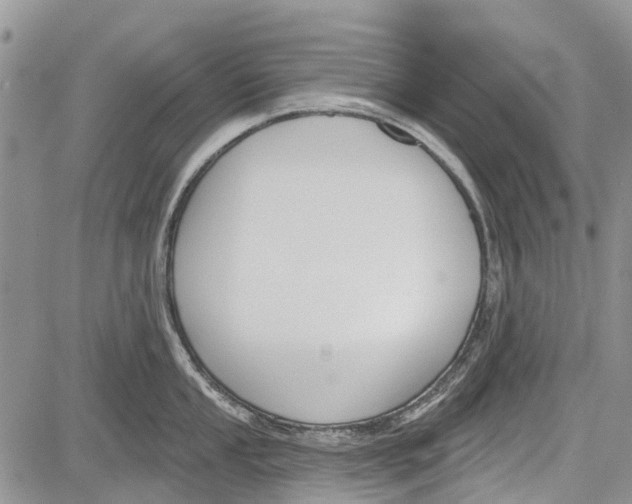 X0000081581053200702051234