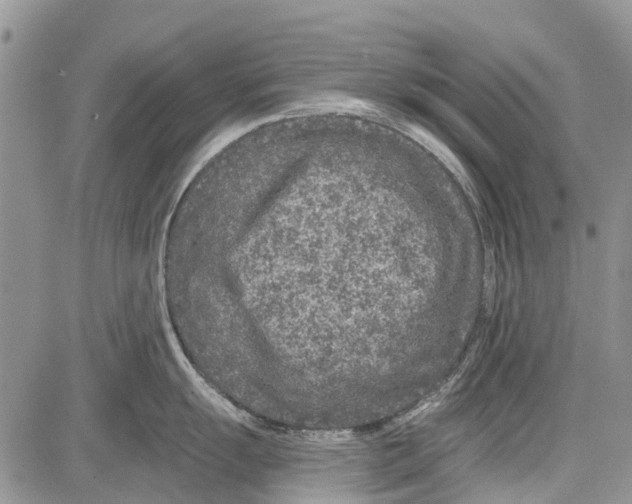 X0000081581055200702051234