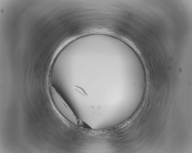 X0000081581056200702051234