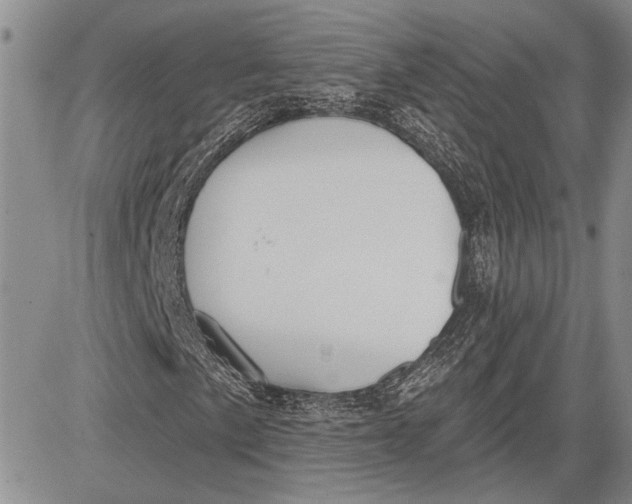 X0000081581057200702051233