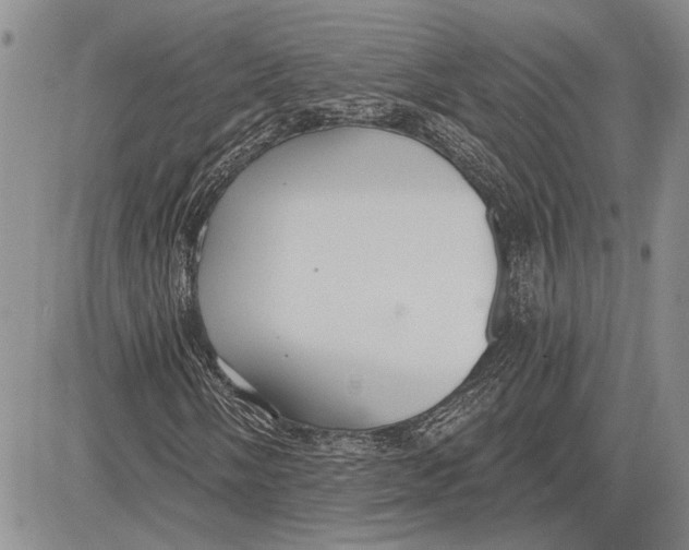 X0000081581058200702051233