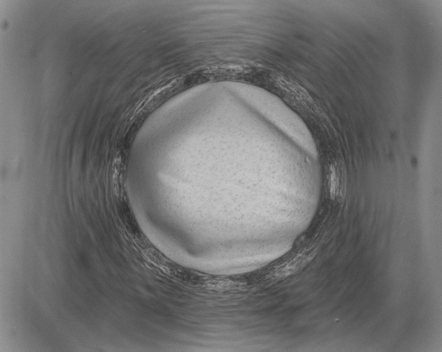 X0000081581059200702051233