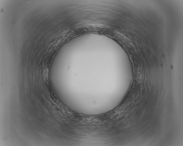 X0000081581061200702051233