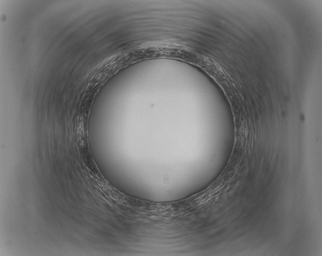 X0000081581062200702051233