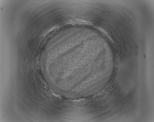 X0000081581063200702051233