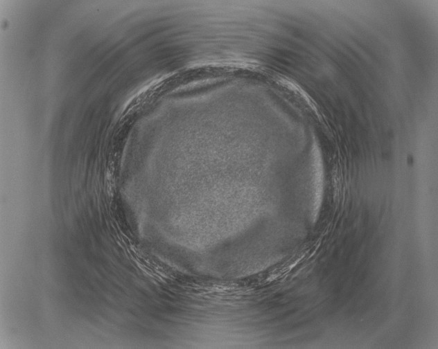 X0000081581064200702051233