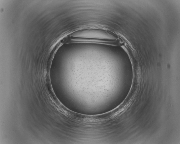 X0000081581065200702051233