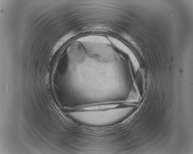 X0000081581066200702051233