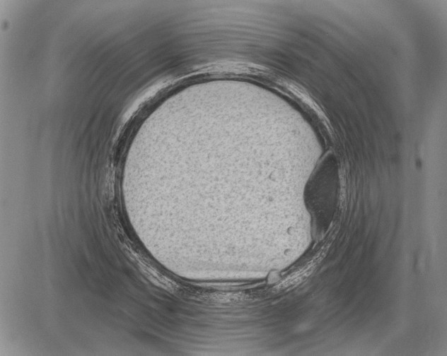 X0000081581067200702051233