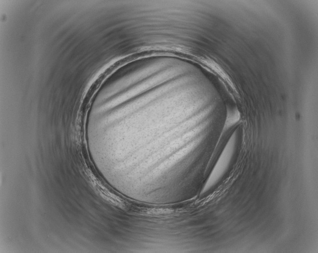 X0000081581068200702051233