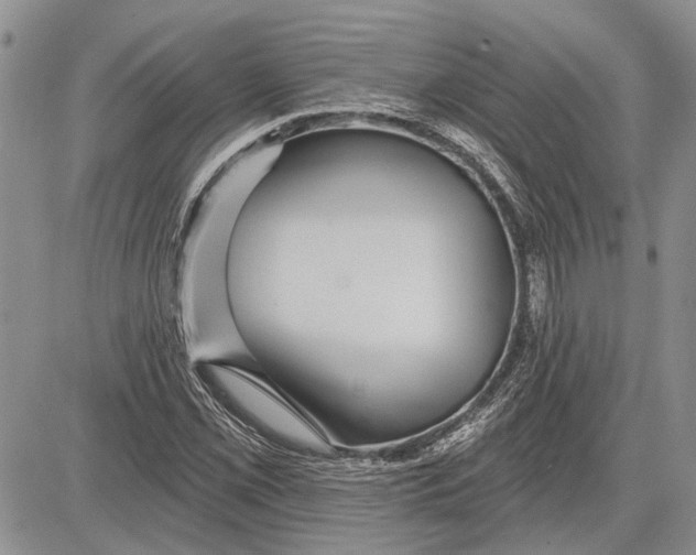 X0000081581069200702051233