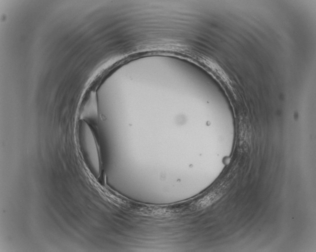 X0000081581072200702051233