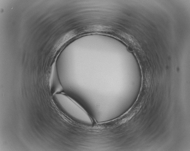 X0000081581073200702051233