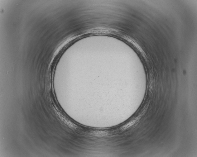 X0000081581075200702051233