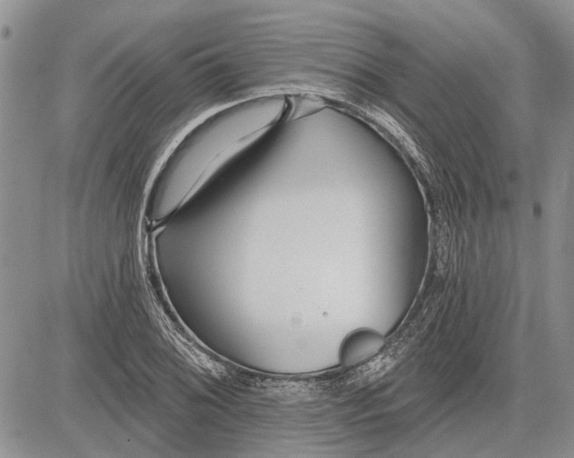 X0000081581076200702051233