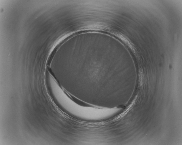 X0000081581077200702051233