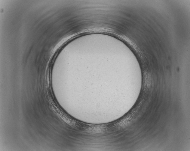 X0000081581078200702051233