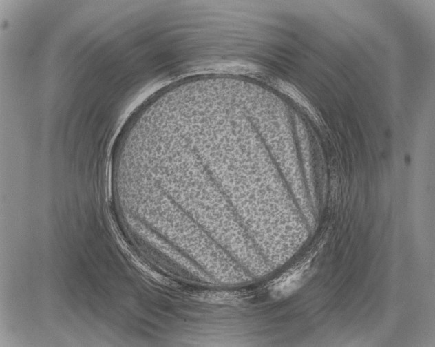 X0000081581079200702051233