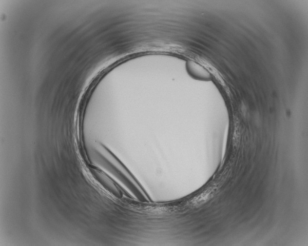 X0000081581080200702051233