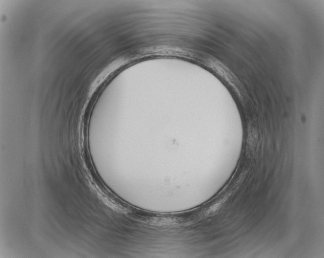 X0000081581082200702051233