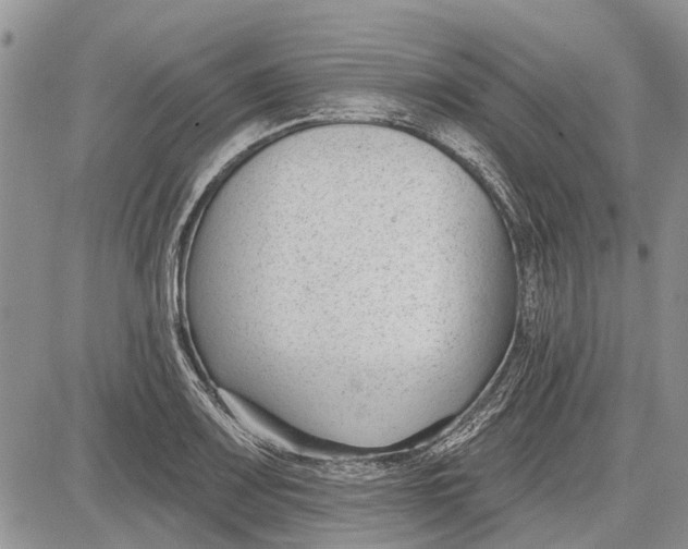 X0000081581083200702051233