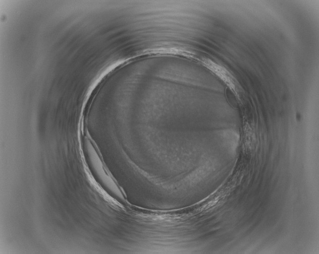 X0000081581084200702051233