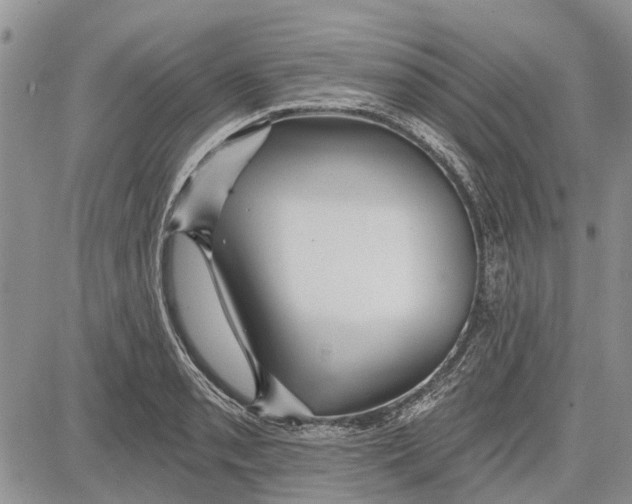 X0000081581085200702051233