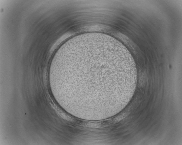 X0000081581086200702051233