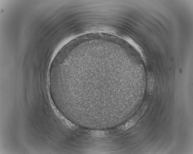 X0000081581088200702051233