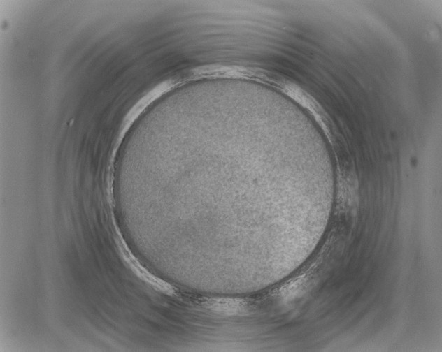 X0000081581090200702051233