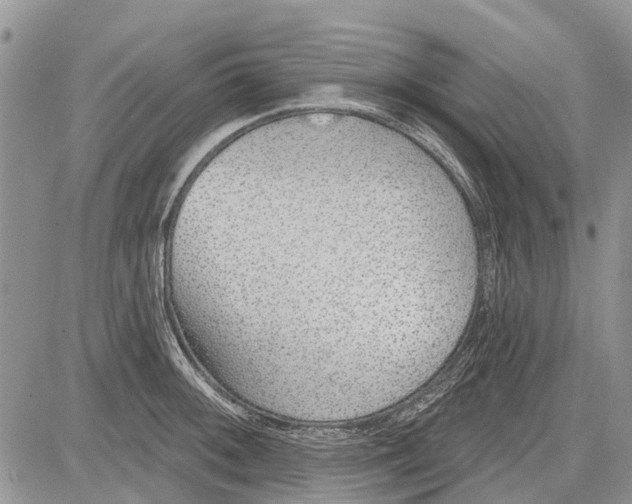 X0000081581092200702051233