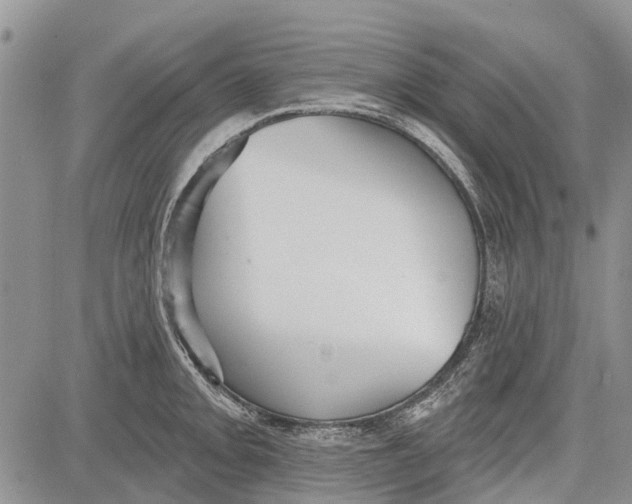 X0000081581093200702051233