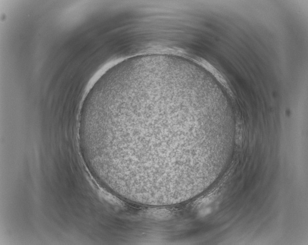 X0000081581094200702051233